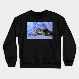 Katze im Nest / Swiss Artwork Photography Crewneck Sweatshirt